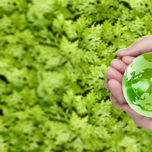 Protecting our planet