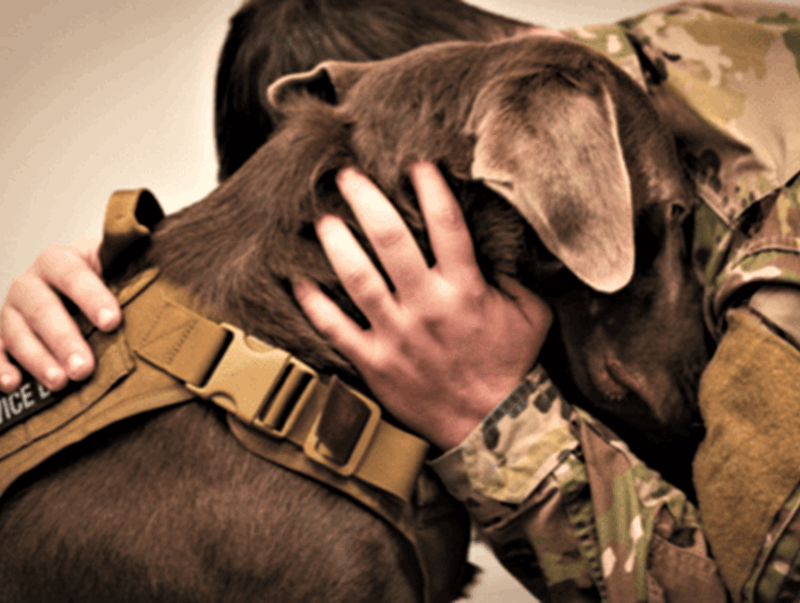 American Humane & Ultra Partner to Support America’s Veterans